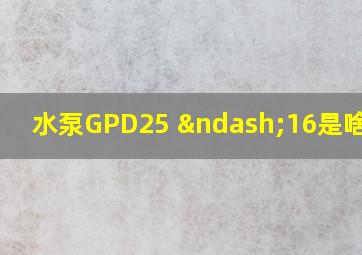 水泵GPD25 –16是啥意思